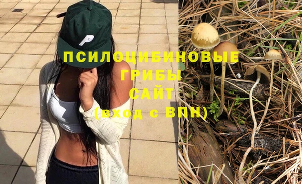 СК Алексеевка