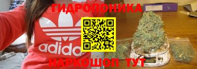 сатива Шахты
