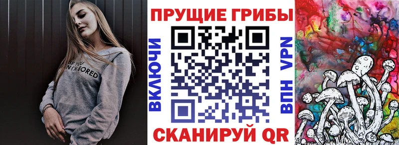 Галлюциногенные грибы GOLDEN TEACHER  Тейково 