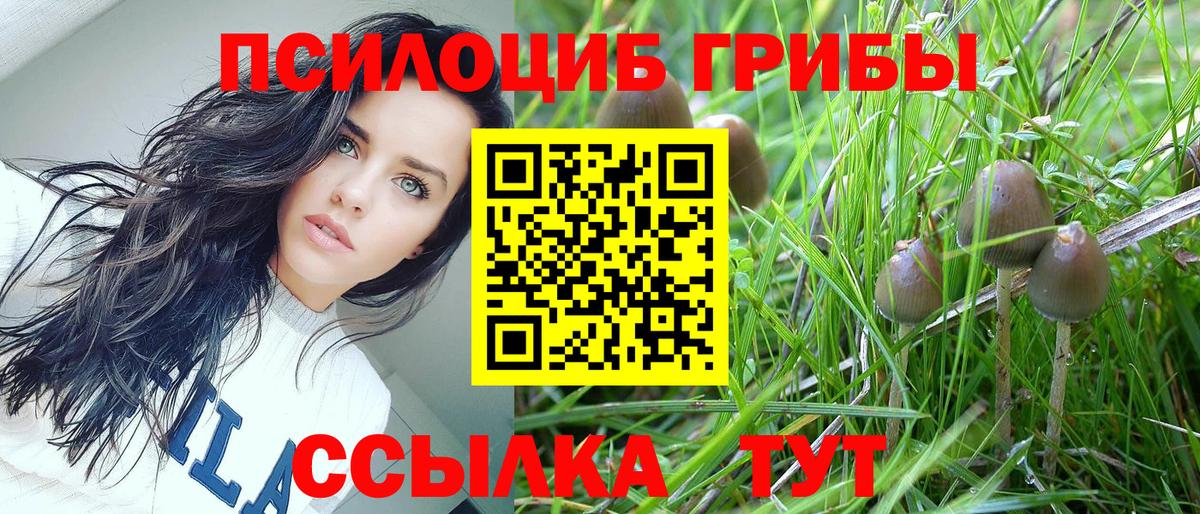 Тейково  Псилоцибиновые грибы мицелий  Вход с VPN 